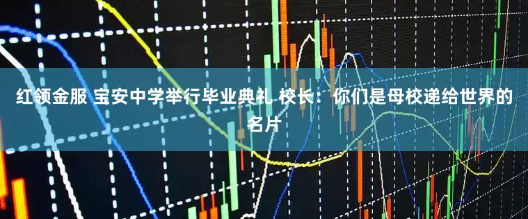 红领金服 宝安中学举行毕业典礼 校长:你们是母校递给世界的名片