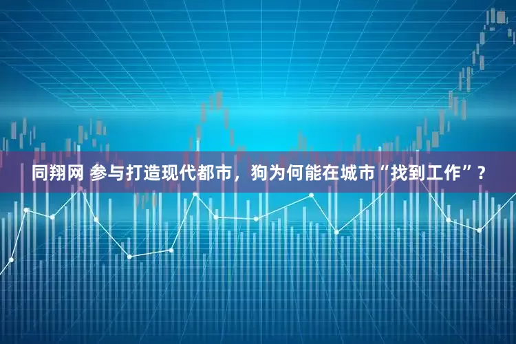 同翔网 参与打造现代都市，狗为何能在城市“找到工作”？