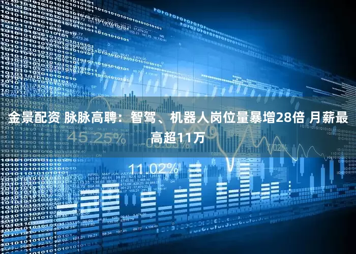 金景配资 脉脉高聘:智驾、机器人岗位量暴增28倍 月薪最高超11万