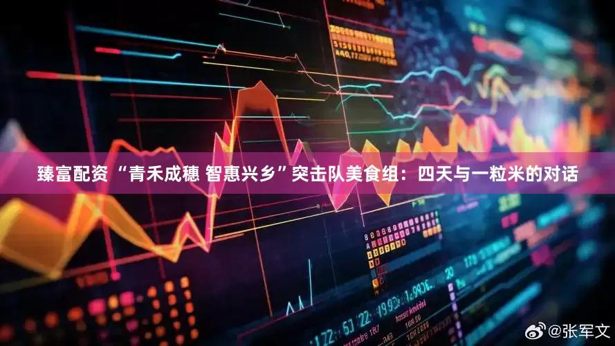 臻富配资 “青禾成穗 智惠兴乡”突击队美食组：四天与一粒米的对话