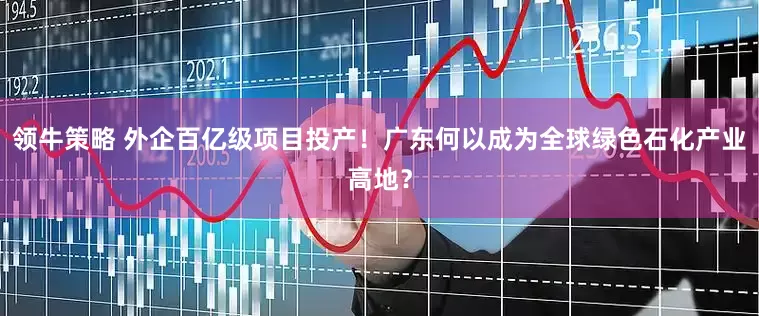 领牛策略 外企百亿级项目投产！广东何以成为全球绿色石化产业高地？