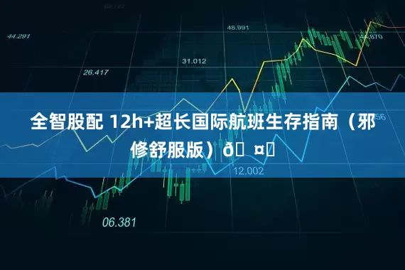 全智股配 12h+超长国际航班生存指南（邪修舒服版）🤟